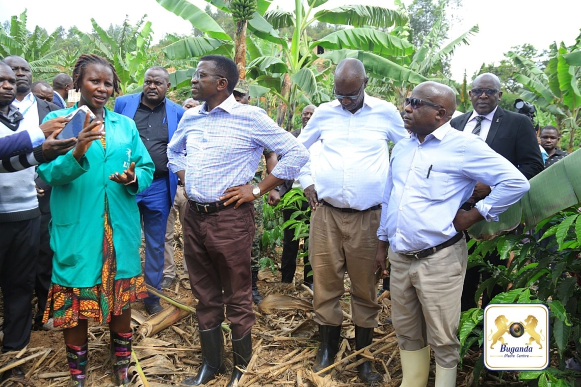 Katikkiro visits coffee farmers in Kabula County to promote cultivation and alleviate poverty